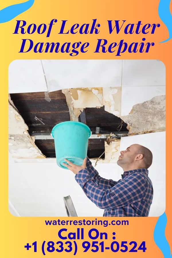Roof Leak Water Damage Repair in Loco, OK
